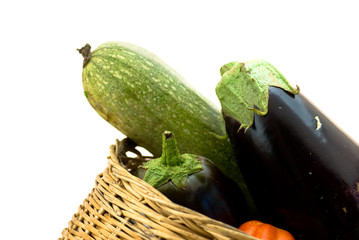 legumes du soleil