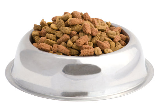 Ciotola con cibo per cani