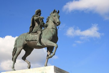 Fototapeta na wymiar statue roi de france