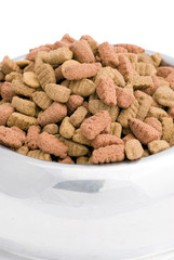 Cibo per cani