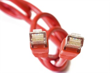 Netzwerkkabel auf weissem Hintergrund