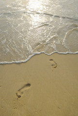 Fototapeta na wymiar empreintes de pas sur la plage
