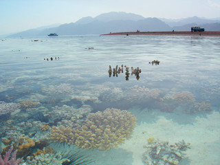 specchio di corallo © oscab