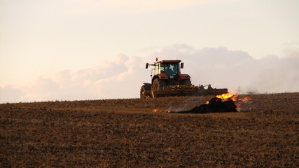 Fototapeta premium Travail des sols après la moisson