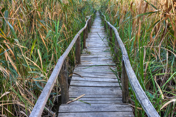 Wooden bridge in Comana Natural Park, Romania.