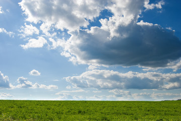 Dramatic clouds over a green pasture