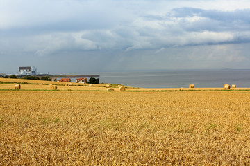 Fototapeta premium Scottish landscape with hay bales and power station
