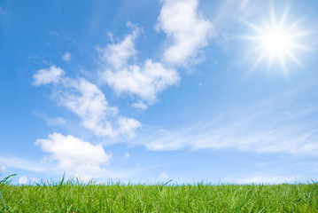 view of peaceful grassland, blue sky above and white clouds