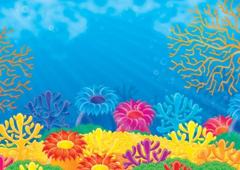 Cercles muraux Sous-marin récif de corail