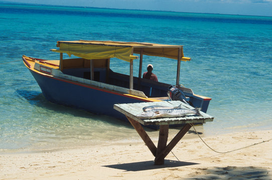 Venditore di pesce ai Caraibi