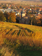 Naklejka premium Village dans le vignoble alsacien en automne