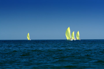 sailing yachts with spinnakers