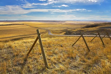 Photo sur Plexiglas Été The American prairie in October. A yellow grass and road