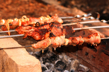 Appetizing shish kebab on metal skewers