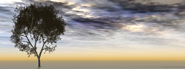 Horizontal banner with an isolated tree on horizon
