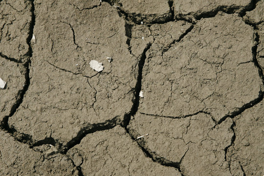 Terre desseche