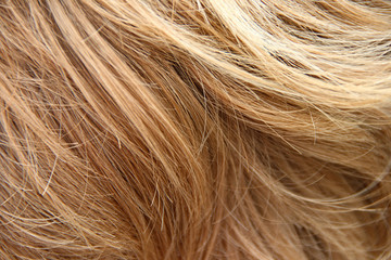 Blonde hair