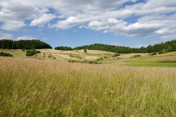 Obraz premium Polish landscape with meadow