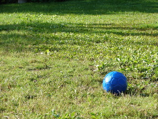 Blue ball lies on a green grass