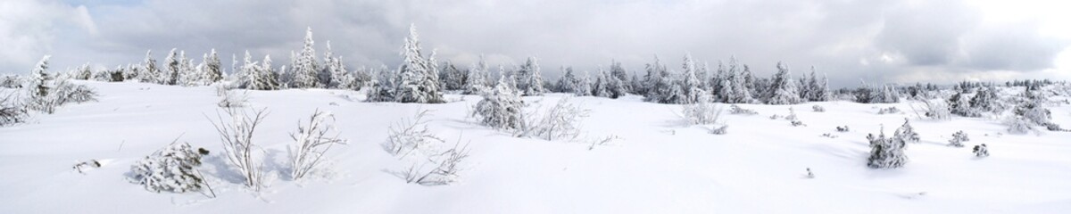 Panoramique neige