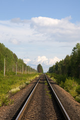 Fototapeta premium The railway, trees along it and the sky