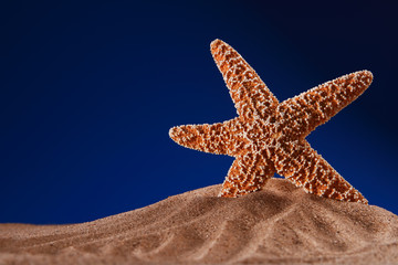 Fototapeta na wymiar starfish on a beach sand with dark blue background, shallow DOF