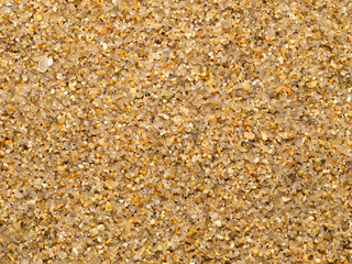 wet quartz sea sand  texture