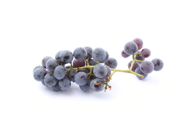 black grape isolated on white