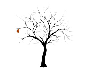 vecteur série, arbre d'automne vectoriel  - Vector autumn tree