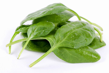 Spinach © Barbro Bergfeldt