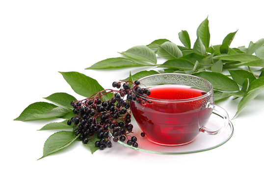 Tee Holunder - tea elder 01