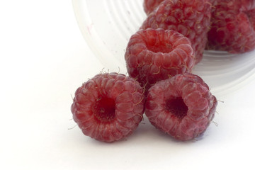 Plastic cup of red raspberries on the white background.