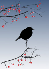 Silhouette petit oiseau sur branche