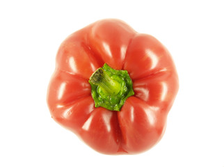 rote Paprika von oben