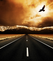 The open road and the soaring bird