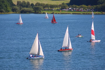 Segel - Regatta
