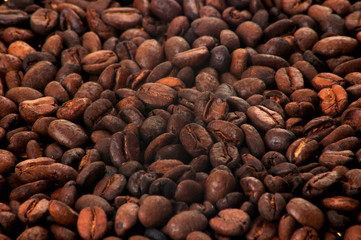 Photo presents Seeds of coffee