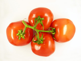 Tomaten