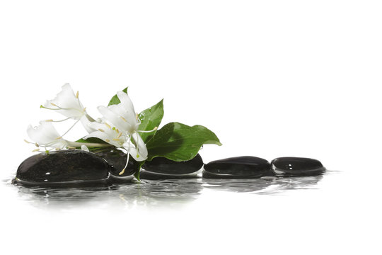 Fototapeta Stone on water with flowers