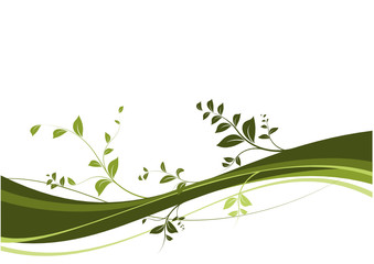 vecteur série, jeune liane et feuilles - vector curve and leaves