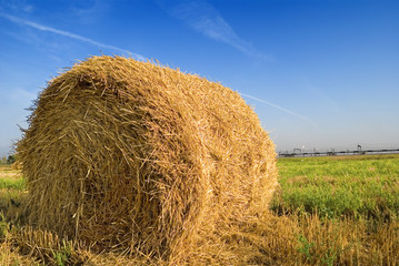 sheaf of hay