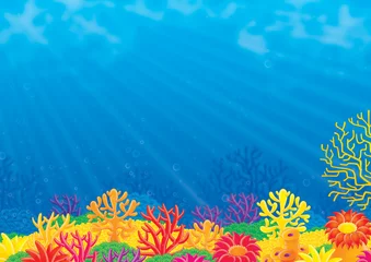 Papier Peint photo Lavable Sous-marin récif de corail