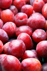 Lots red ripe plums, may be used as background