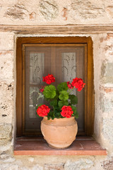 Flower pot in window, Greece