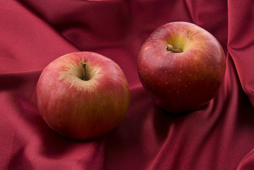 Apples
