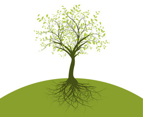 vecteur série - arbre et racines vectorielles sur vert et blanc