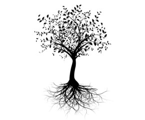 vecteur série, jeune arbre avec racines - vector tree with roots