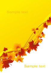 Autumnal leaf background, vector illustration