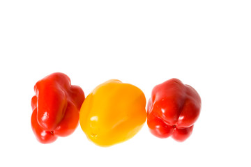 paprika isolated on the white background