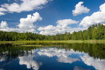 summer scene at lake Suur Kalajarv, Estonia